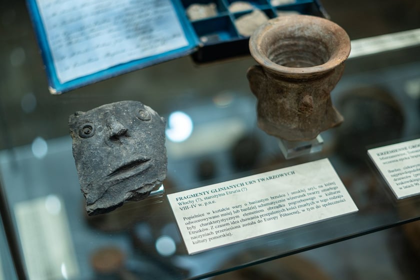 Wystawa Artificalia, naturalia, exotica w Muzeum Archeologicznym we Wrocławiu